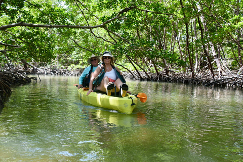 From Naples, FL: Marco Island Mangroves Kayak or Paddle Tour Easy Ride Pedal Kayak Tour