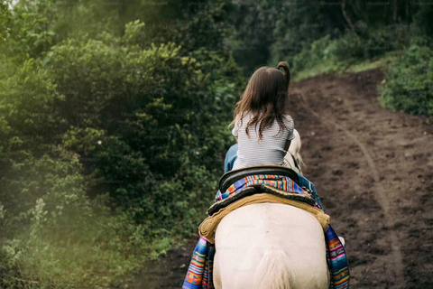 San Juan La Laguna: Horseback Riding in Coffee Plantations