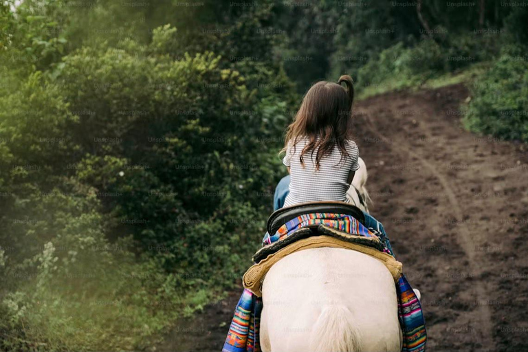 San Juan La Laguna: Horseback Riding in Coffee Plantations