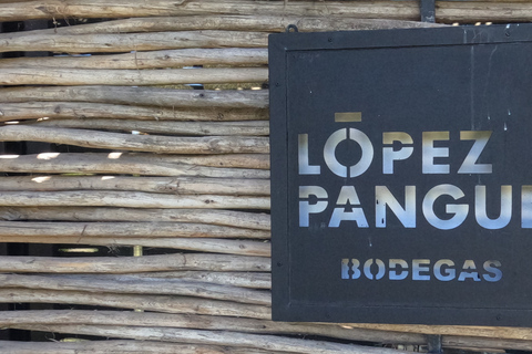 Curacaví Valley: Private Wine Tour of Viña Lopez Pangue and El Cuadro Curacaví Valley: Private Wine Route Tour - Viña Lopez Pangue and El Cuadro