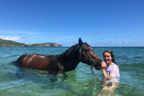 St. Lucia: Private Horseback Riding Tour with Sandy Hoofs