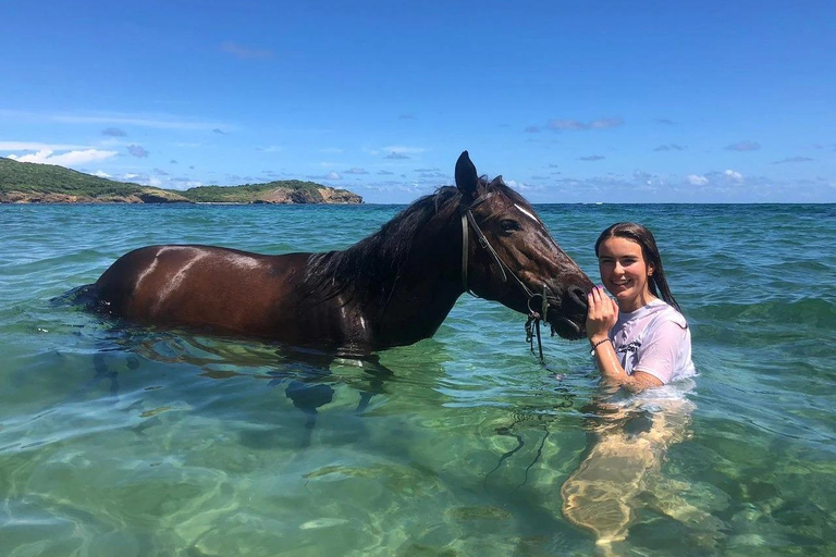 St. Lucia: Private Horseback Riding Tour with Sandy Hoofs