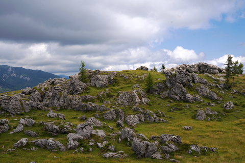 From Ljubljana: Velika Planina Tour with Meal & Photos