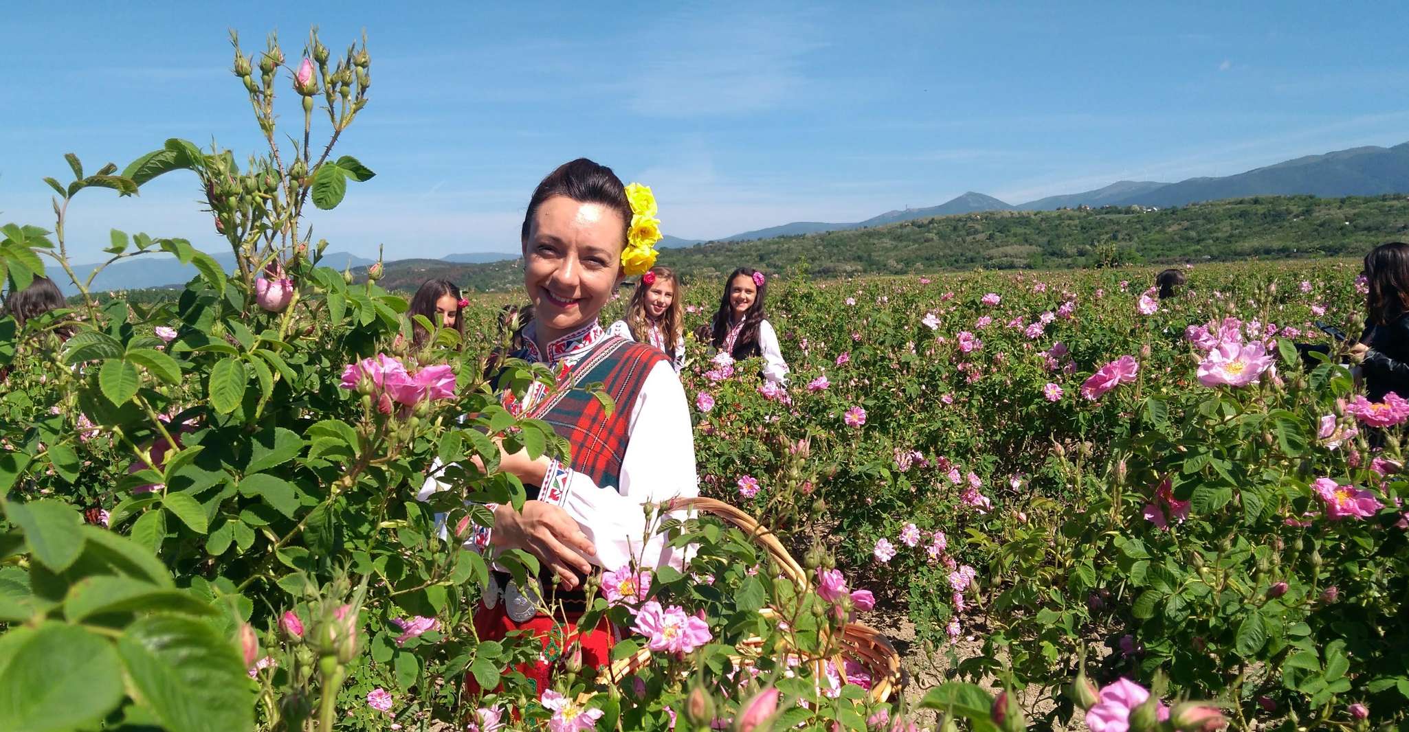 Day tour to Rose valley- Old rose distillery and rose fields - Housity