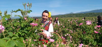 Visite d'une journée à Rose Valley- Old Rose Distillery et Rose Fields - Housity