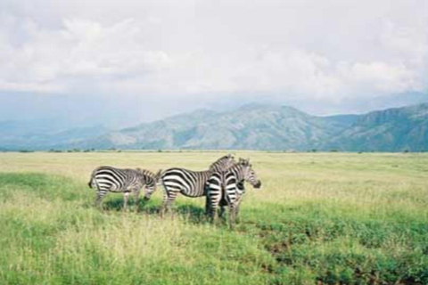 From Addis Ababa: 4-Day Nech Sar N P & Lake Chamo Safari