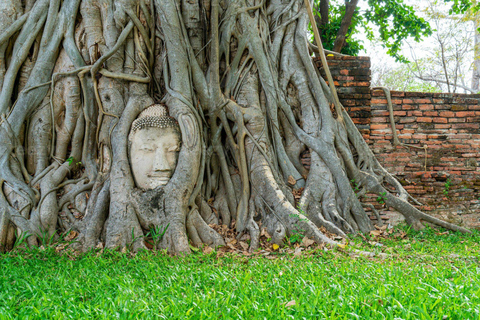 Bangkok: Ayutthaya Sunset & Night Temples Private Tour Private Tour (Up to 8 People) - English Guide & Van