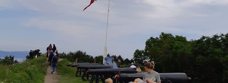 Trondheim : visite privée à pied avec un habitant