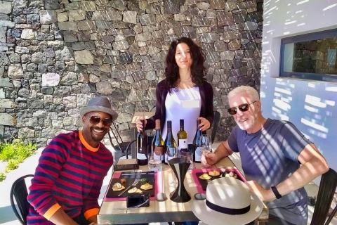 Santorini: Wine Trails Private Tour with Guide