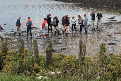 Oosterschelde: Guided Tour in Search of Salty Shellfish