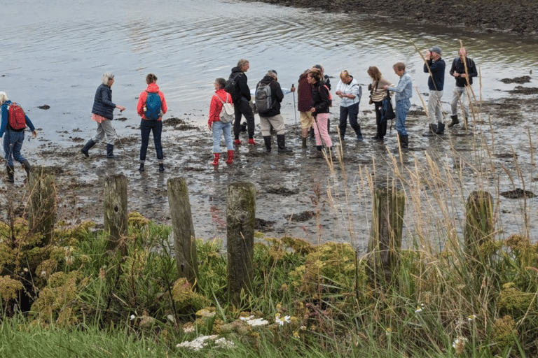 Oosterschelde: Guided Tour in Search of Salty Shellfish