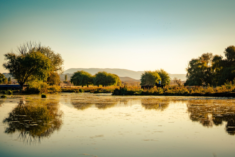 Christchurch: Relaxing Lagoon Horse Riding Experience