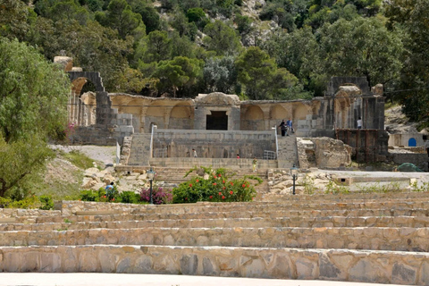 From Tunis: Bardo Museum, Oudhna & Aqueduct Private Tour