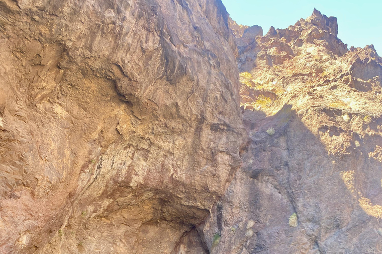 Plage de Willow : Location de paddle board