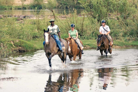 Horse riding