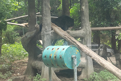 Chi so mountain _ Ta moa zoo_ Bati temple Tour
