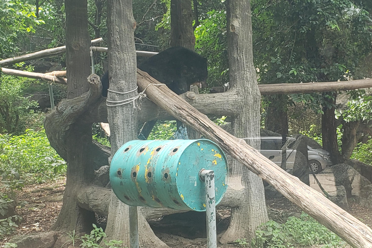 Chi so mountain _ Ta moa zoo_ Bati temple Tour