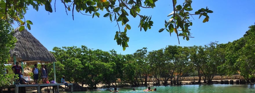 Expédition Rio Lagartos : voyage en bateau à travers la mangrove