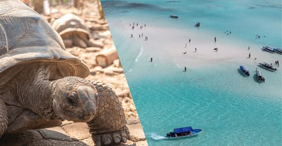 Zanzibar: Prison Island & Nakupenda Boat Trip + Swahili BBQ
