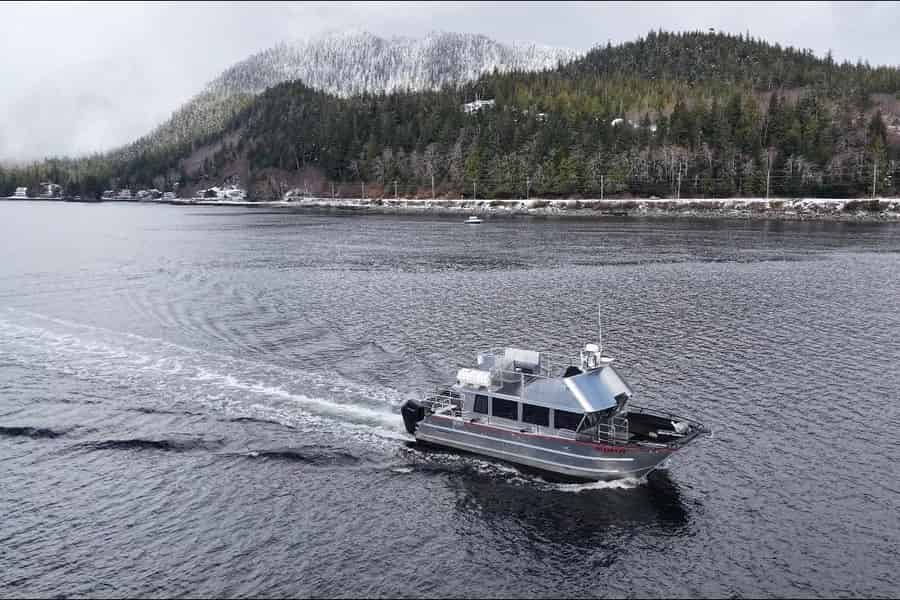 Wale und Mittagessen! Ketchikans Premium-Whale-Watching-Tour. Foto: GetYourGuide Wale und Mittagessen! Ketchikans Premium-Whale-Watching-Tour. Foto: GetYourGuide