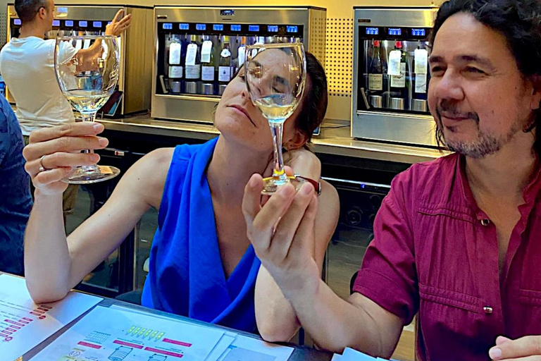 French Wine Tasting Workshop - Downtown Montpellier Workshop in Spanish