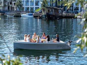 Copenhague : Tour en bateau privé avec capitaine (Lite)