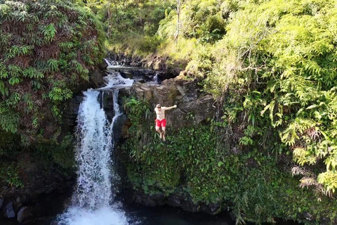 Maui's Sea Turtle & Waterfalls: Taste of Hana Guided Tour