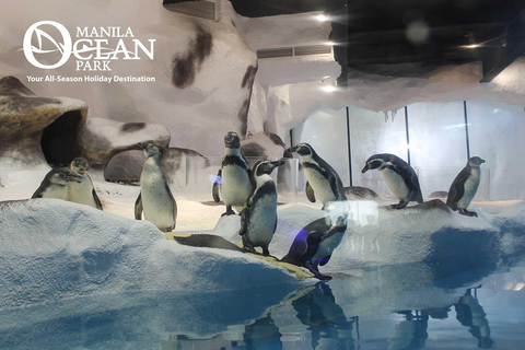 Ocean Park Admission Ticket with 8 Attractions