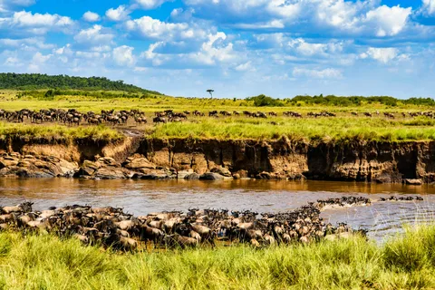 From Nairobi: Day Tour to Maasai Mara