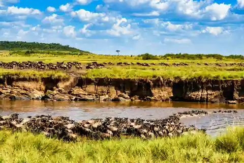 From Nairobi: Day Tour to Maasai Mara