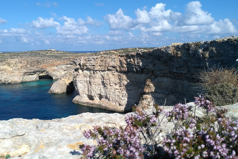 Excursión a tierra - Medio día