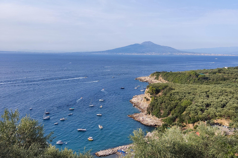 Sorrento Coast: Discover Hidden Gems by Vespa with a Buddy