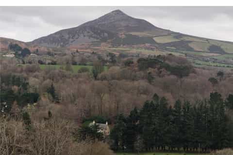 Wicklow Hidden Gems Guided Cultural Day Tour with Local Host - Image 3
