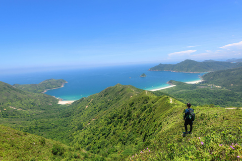 St. Lucia: Private Beach Horseback Ride With Picnic & Wine