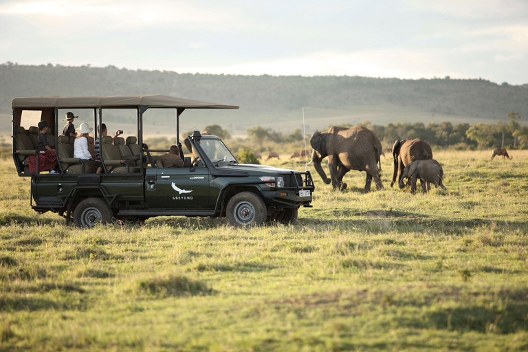 Ciudad del Cabo: Safari de 3 días a Inverdoorn con alojamiento