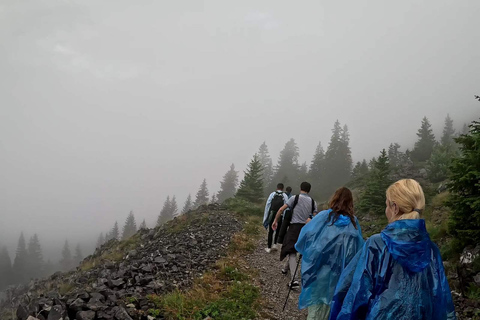 From Sarajevo: Trnovačko Lake Guided Hike with Transfer