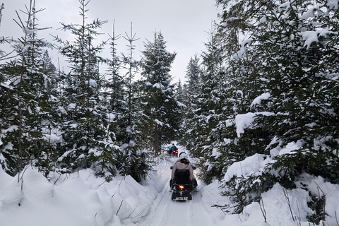 Krakow: Zakopane Snowmobile & Kulig Day Trip with Dinner