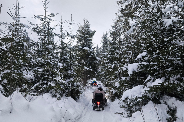 Krakow: Zakopane Snowmobile & Kulig Day Trip with Dinner