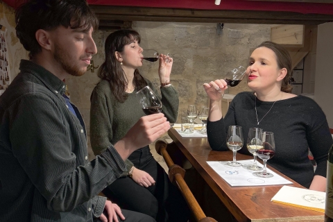 Burdeos : clase de degustación de vinos tintos y charcuteríaCata de vinos de Burdeos : 4 vinos tintos
