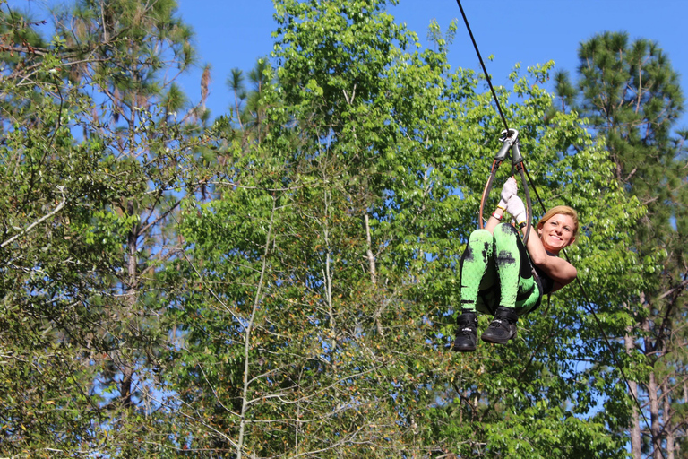 Orlando: Tree Trek Adventure Park Entry Ticket Tree Trek Adventure Park Entry Ticket
