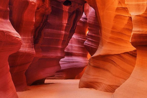 Sharm: 3 Pools Dahab Tour, Quad, Camel, Red Canyon & Lunch 3 Pools Tour, Camel, Red Canyon included Lunch