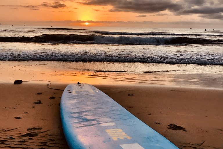 EINFÜHRUNGSKURS IN DAS SURFEN