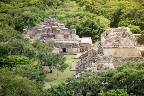 Agave Mayapn Distillery Tours & Tickets