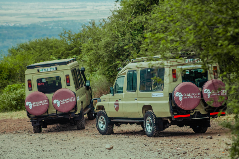 Zanzibar: 4-Day Mid-Range Safari Special for Honeymooners