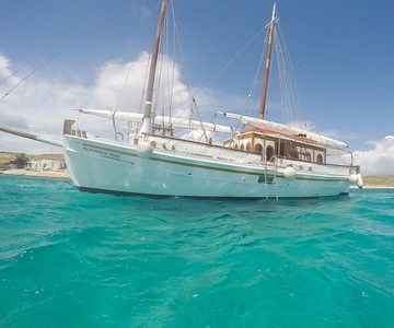 From Mykonos: Delos & Rhenia Islands Half-Day Trip by Boat