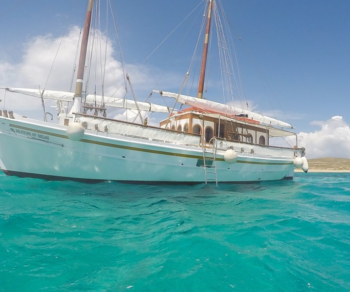 Da Mykonos: tour in barca di mezza giornata delle isole di Delo e Rhenia