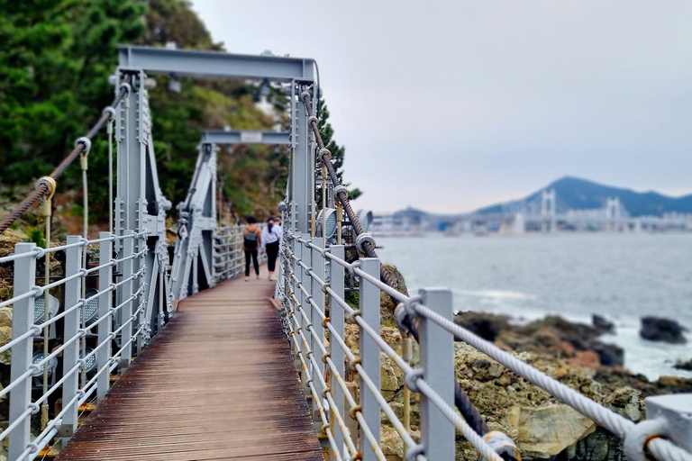 Busan Igidae Coastal Walk & Korean Pancake Experience Wednesday Afternoon Schedule (2 PM Start)