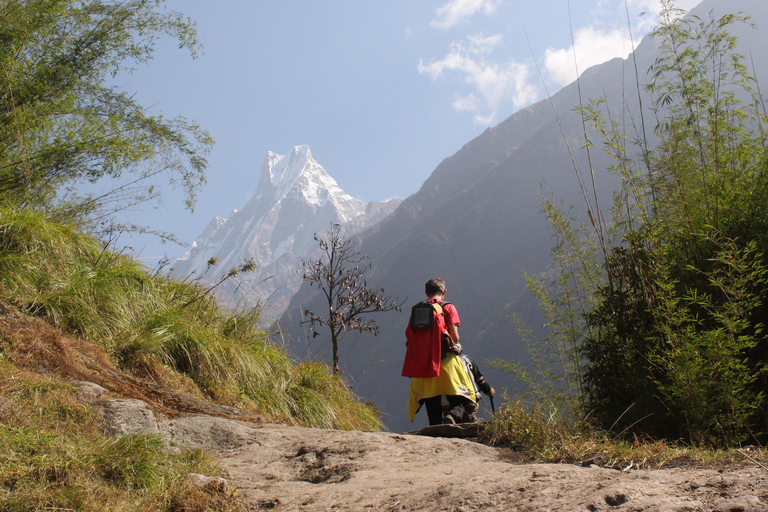 Pokhara: Trekking al Campo Base del Annapurna - 5 Días