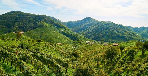 Valdobbiadene: Private Prosecco-Tour & -Verkostung mit Sommelier