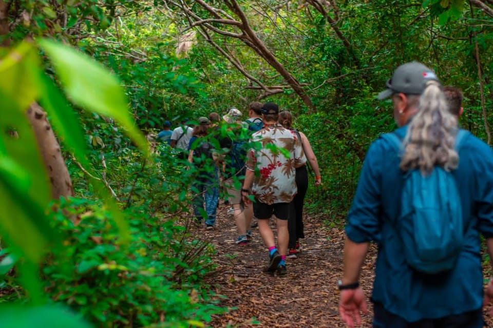 Zanz Bar Tour Guiado Por El Bosque De Jozani Con Almuerzo Getyourguide